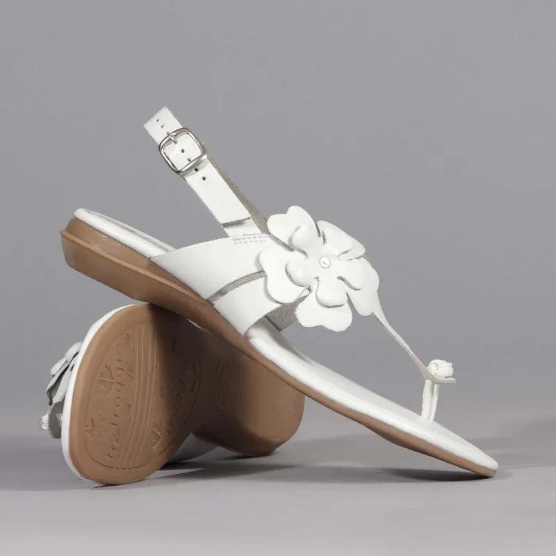 Flower Thong Sandal in White - 12621